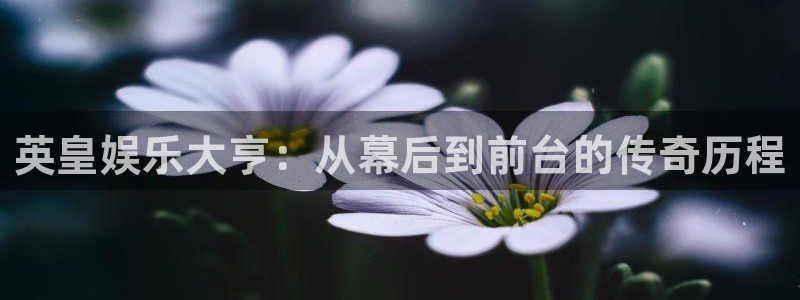 澳门jdb电子游戏：英皇娱乐大亨：从幕后到前台的传奇历程