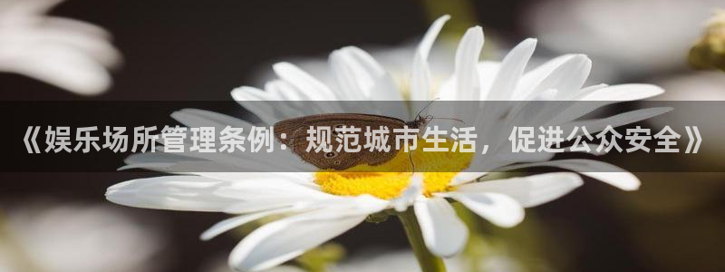 jdb电子超级大奖：《娱乐场所管理条例：规范城市生活，促进公众安全》